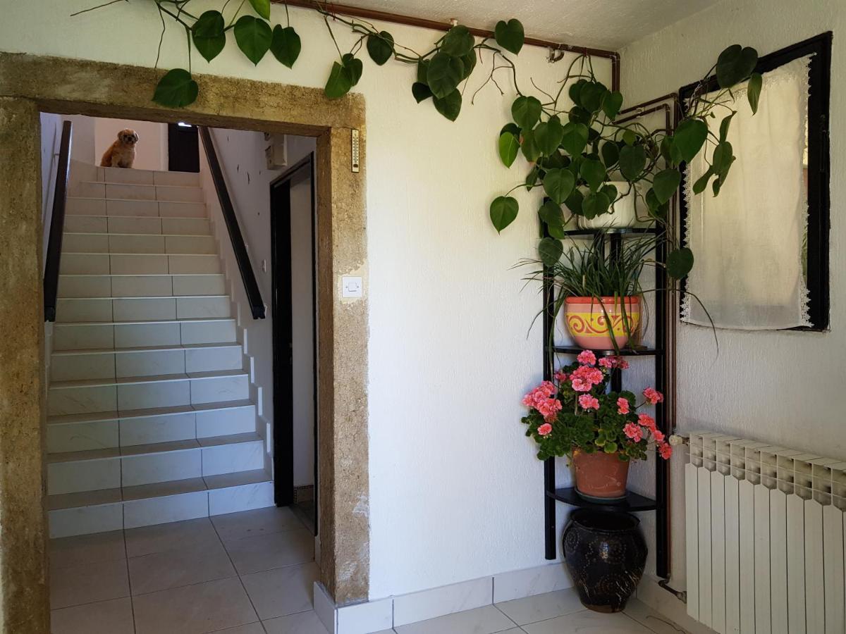 Apartment Melanie Skrbcici Ngoại thất bức ảnh